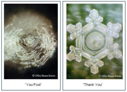 99df859ced94113f0b6a805225ea9c0d