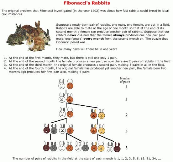 FibonacciSeriesRabbits