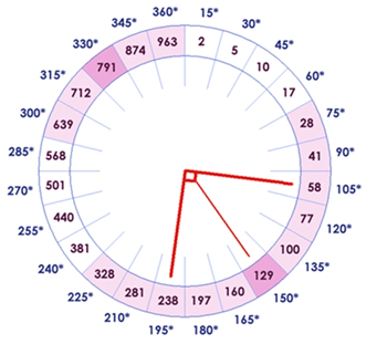 gw56126,1251284891,zring2