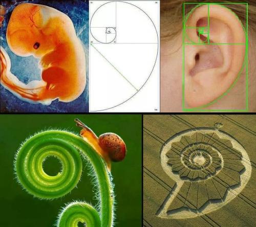 tumblr_n7jrfzeUXY1tucbz9o1_500