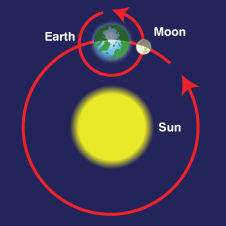 Image result for earth sun orbit