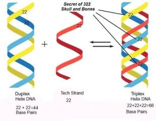 15621760_919339438203524_3245400070871709244_n