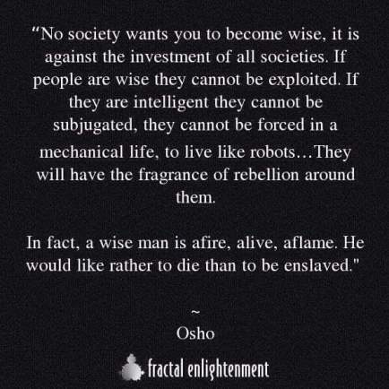 14642313_316715492034362_3978324028298684028_n